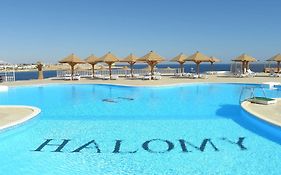 Halomy Hotel Sharm el Sheikh